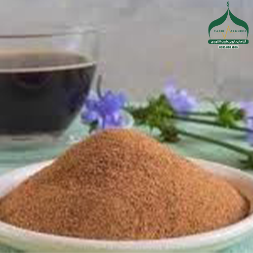 بذر خار مریم خارجی